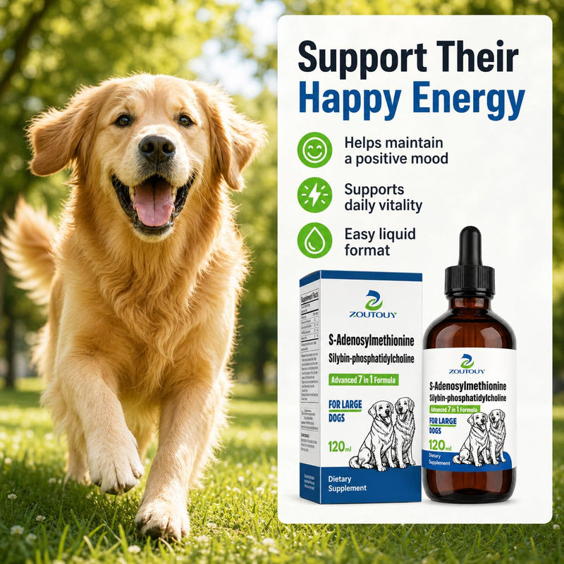 Same for Dogs Liquid Drops with Silybin, Milk Thistle, Choline, Artichoke, Dandelion & Curcumin, Dog Liver Support Supplement, Positive Mood & Daily Wellness Formula,Same for Dogs Liquid (120ml) 120ml