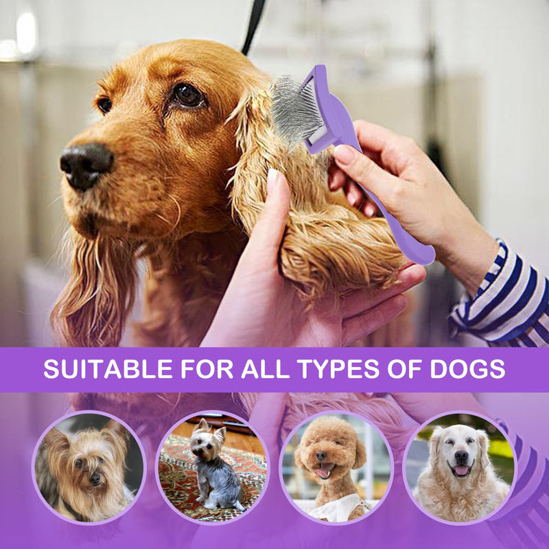 Dog Slicker Brush for Goldendoodles & Golden Doodle Brush for Grooming Kit - Dog Brush for Goldendoodle, Labradoodle, Poodles - Pet Hair Brush for Short & Medium Haired Dogs -Small (Purple) - BeesActive Australia