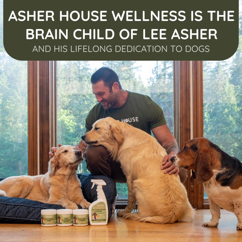 Asher House Wellness Hip and Joint Supplement for Dogs - Natural Soft Chew with MSM, Chondroitin, Glucosamine, Vitamins - Promotes Joint Health & Pain Relief Senior & All Dog Breeds, Large, 120 Chews - PawsPlanet Australia