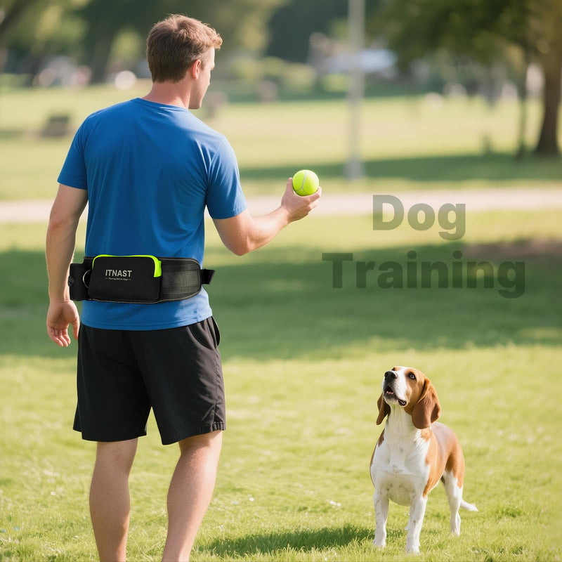 Hands Free Dog Leash for Medium Large Dogs, Waist Support Padded Bungee Dog Running Leash with Reflective Stitching for Walks, Jogging, Running, Hiking, and Dog Training for One Dog Black/Green - BeesActive Australia