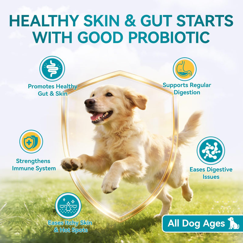 Probiotics for Dogs, 200 Soft Chews with Digestive Enzymes and Prebiotics, Daily Digestive Support for Gut Health and Stool Balance, Chicken Flavor 200 Chews
