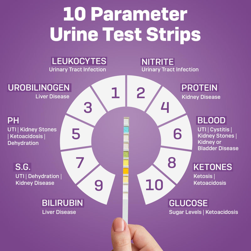 One Step Pet Urine Testing Strips, 5 x 10 Parameter Urinalysis Test Strips, Urine pH Test Strips for Dogs, Cats, Accurate Testing for UTI, Bladder & More, Pet Glucose Monitoring Kit