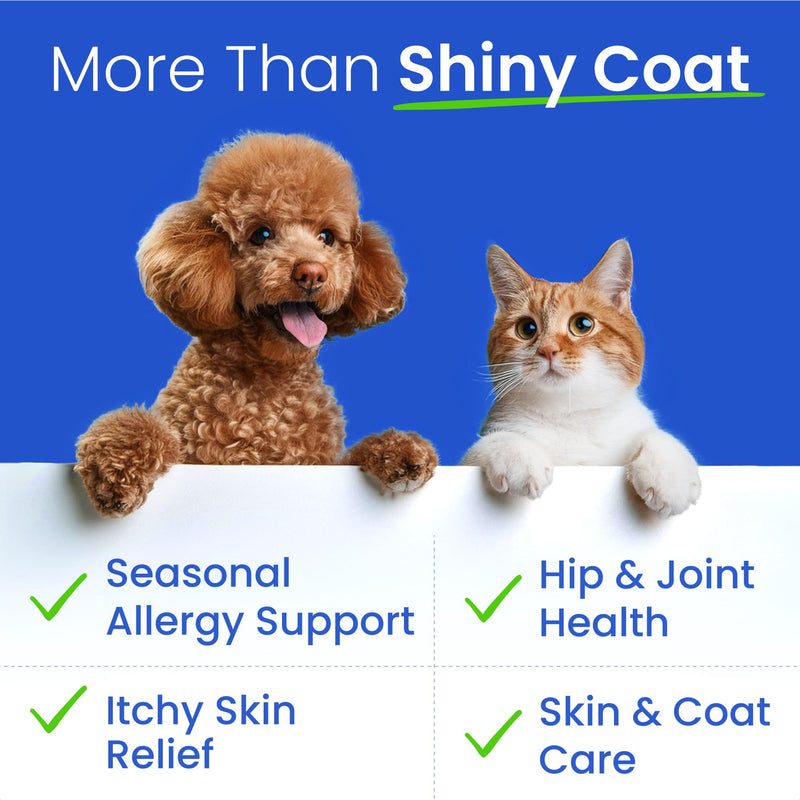 BARK&SPARK Omega 3 Fish Oil for Dogs - w/Wild Alaskan Salmon Oil for Dogs, Fish Oil Liquid Supplement for Pets, EPA+DHA Fatty Acids, Skin&Coat Support - Itch&Allergy Relief, Joint, Immune&Heart Health 16 fl oz - BeesActive Australia