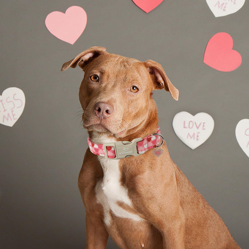 Valentine Dog Collar for Medium Dogs - Design Cute Pink Valentines Day Dog Collars Boy Girl Puppy Adjustable Quick Release Buckle Collar with Little Heart Charm M Pink Heart - BeesActive Australia