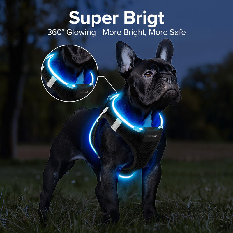 PcEoTllar Luminous Dog Harness, LED Rechargeable Reflective Illuminated Harness for Puppy Small Medium Dogs, Breathable Luminous Harness, Black (9 Modes), S Black (9 Modes) - BeesActive Australia