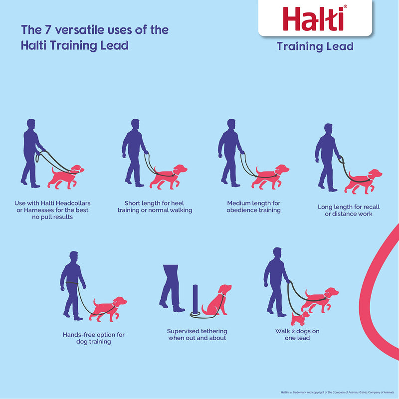 HALTI Headcollar Size 5, Black & HALTI Training Leash Size Large, Black Combination Pack - Stop Your Dog Pulling on the Leash. Adjustable, Lightweight with Padded Nose Band. Suitable for Large Dogs - BeesActive Australia