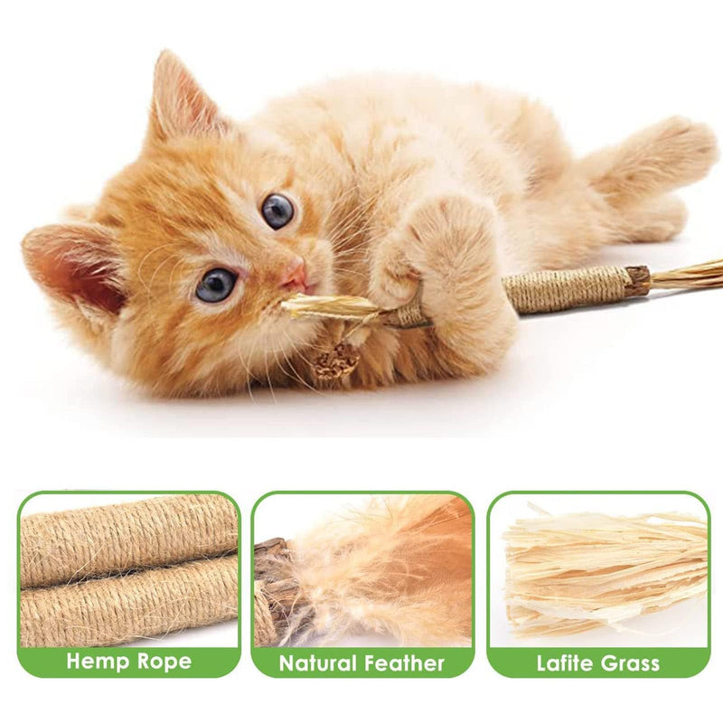YHT 6Pcs Natural Catnip Toys Chewing Silvervine Chew Sticks for Cat Indoor Teeth Cleaning Stress Release Toy for Kitten Teething