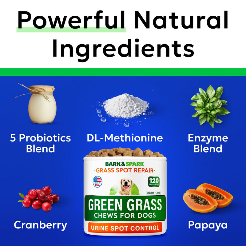 Green Grass Dog Chews + Dog Probiotics Bundle - Pee Grass Spot Saver Caused by Dog Urine - Digestive Enzymes & Gas, Diarrhea, Constipation Relief Supplement - Made in USA