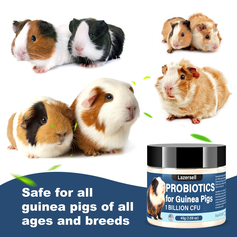 Probiotic for Guinea Pigs Digestive Health Support with Natural Prebiotics - Guinea Pigs Probiotics Safe Daily Supplement for All Guinea Pig Sizes All-Natural Dietary Digestive System Formula(1.59 OZ) - BeesActive Australia