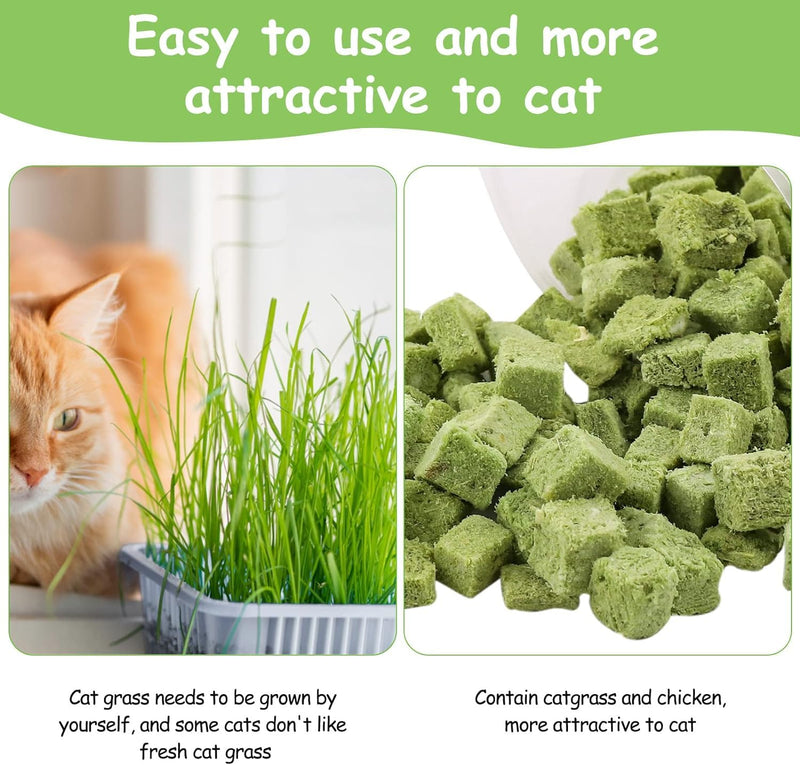 HavenJanny 60g Cat Grass Treats for Cat, Freezed Drying Cat Grass Teething Stick Snacks for Cats, Edible Cat Chew Toys for Teeth Cleaning and Hairball Removal 2.11ounce - BeesActive Australia