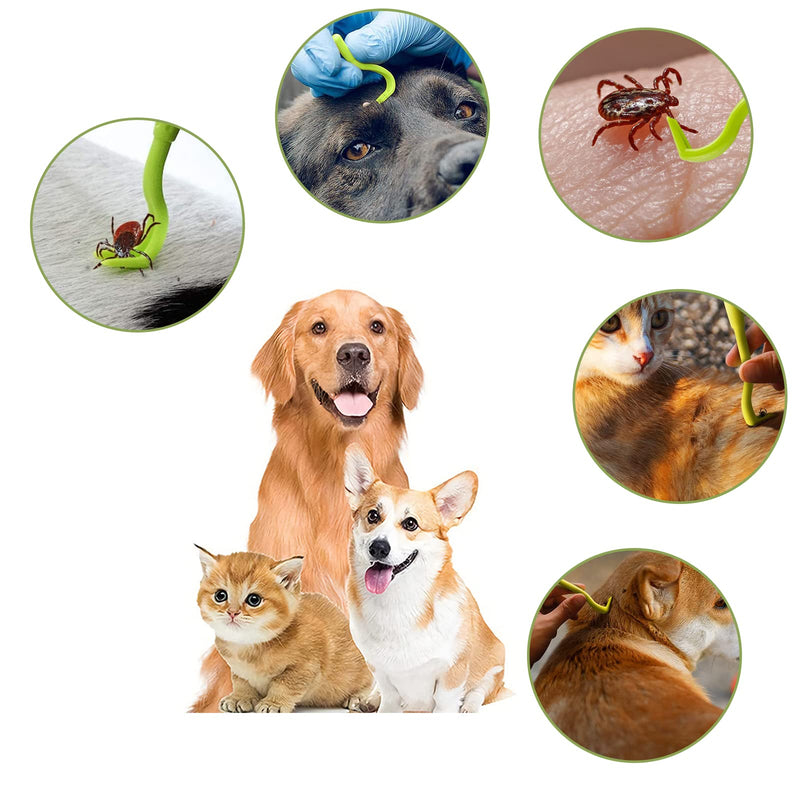 Nepfaivy Tick Tongs for Dogs, Cats, People - Set of 3 Tick Hooks and Tick Removers for Children and Pets, Simple and Safe Tick Lever for Ticks of Any Size Green - BeesActive Australia
