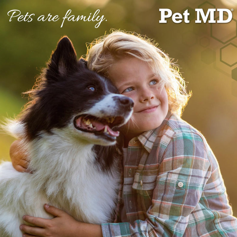 Pet MD Salmon Omega Bites for Dogs - Dog Skin and Coat Supplement with Omega 6 for Dogs & Omega 3 Fish Oil for Dogs Plus DHA & EPA - Promote Dog Allergy Relief & Dry Skin Relief for Dogs - 60 ct 60ct - BeesActive Australia