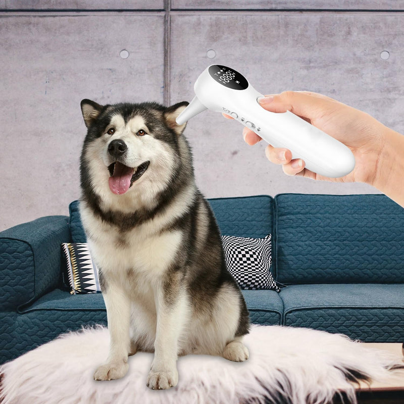 Pet Ear Thermometer for Dogs and Livestock - Includes 20 Pet Swabs, Suitable for Dogs, Cats, Infrared Fast and Accurate Canine Temperature Monitor - Switches ℉ and ℃ - BeesActive Australia