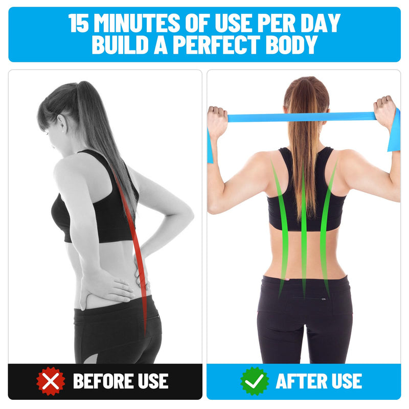 Resistance Bands, Professional Exercise Bands, Physical Therapy Bands for Strength Training, Yoga, Pilates, Stretching, Recovery, Stretch Elastic Band for Working Out, Workout Bands for Home Gym - BeesActive Australia