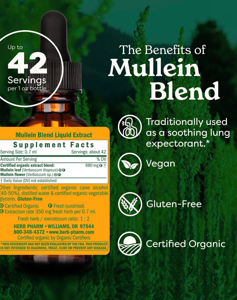Herb Pharm Certified Organic Mullein Blend Liquid Extract for Respiratory System Support - 1 Ounce 1 Fl Oz (Pack of 1)