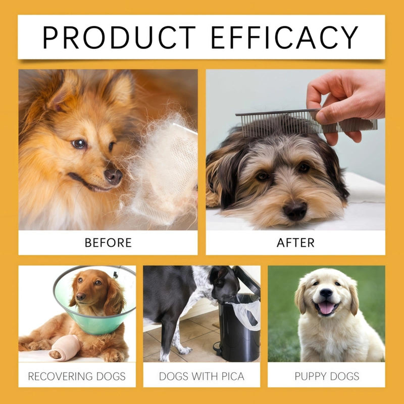 Dog Yeast Infection Treatment Spray, Yeast Infection Treatment for Dogs for Itchy Skin & Ears, Fast-Acting Soothing Solution for Allergies & Itching Relief in Dogs - 60ml