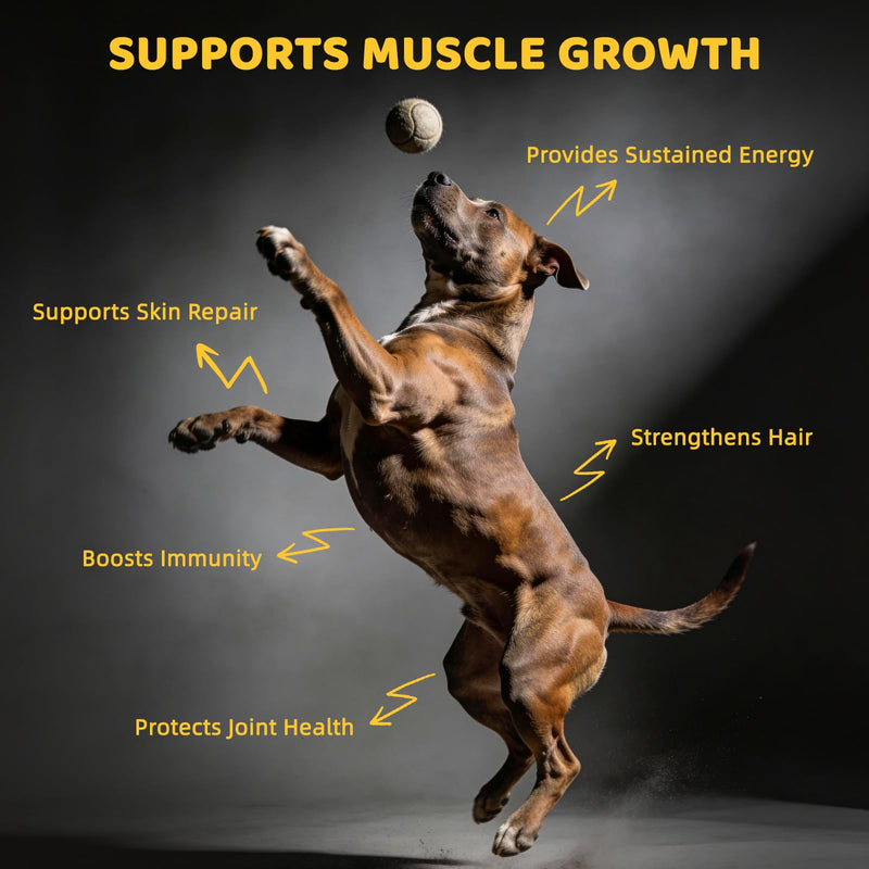 Muscle Gain & Omega 3 Fish Oil Bundle for Dogs - Muscle Strength, Joint Support, Skin & Coat Health Supplement with BCAAs, Glucosamine & 19% Omega-3 - for All Breeds & Ages (16OZ Liquid + Chewable Tab