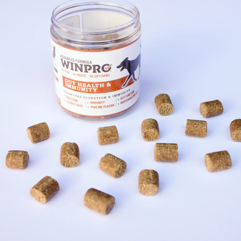 WINPRO Dog Gut Health Supplements – Plasma-Powered Chews for Dog Immune Support & Digestive Health, Fast-Acting Solution for Gut Health for Dogs of All Breeds & Sizes, 60 Count, Made in USA - PawsPlanet Australia