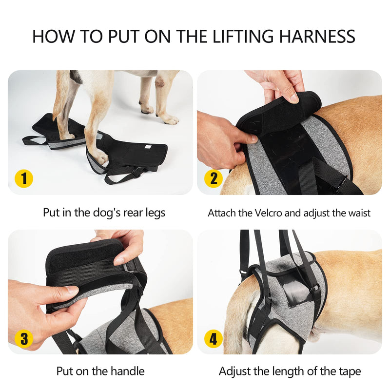 Dotoner Dog Lifting Harness, Dog Support Harness for Hind Legs, Soft Dog Support Loop for Injured Disabled Small, Medium and Large Dogs, Dog Strap for Hind Legs (Gray, L) L (Pack of 1) Grey - BeesActive Australia
