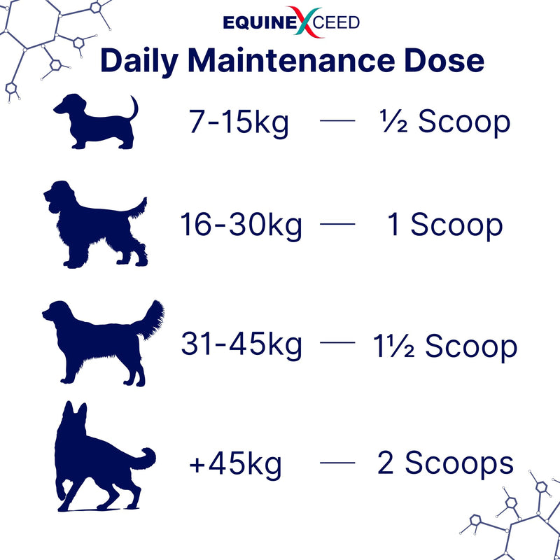 K9 Joint Health™ 90 Scoops - Joint Supplement for Adult/Senior dogs - Stiffness, hip & joint discomfort 144 Grams