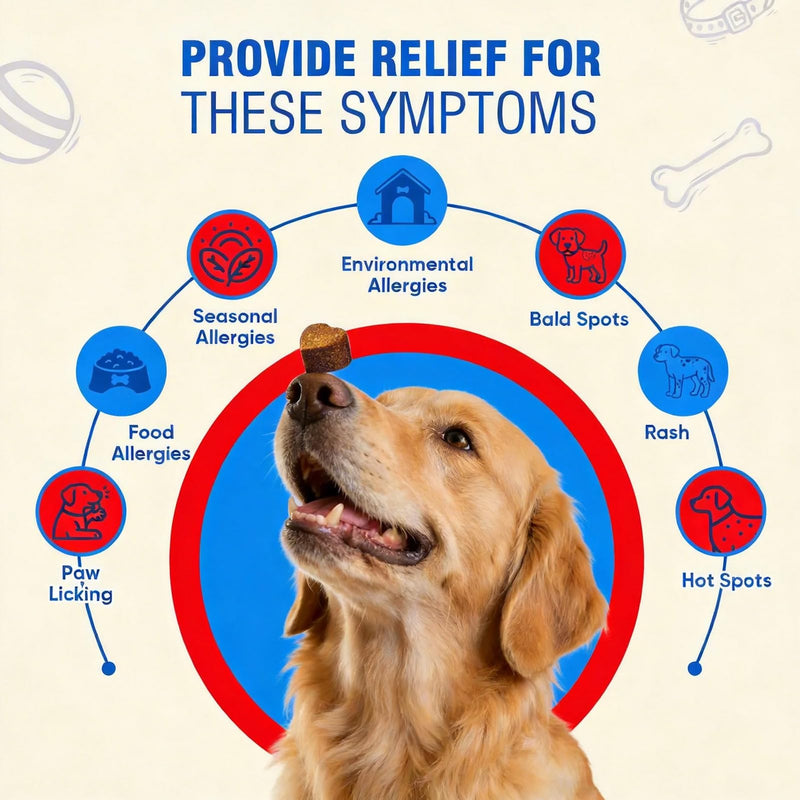 Dog Allergy Chews with Probiotics & Vitamins – Supports Skin Comfort & Coat Health