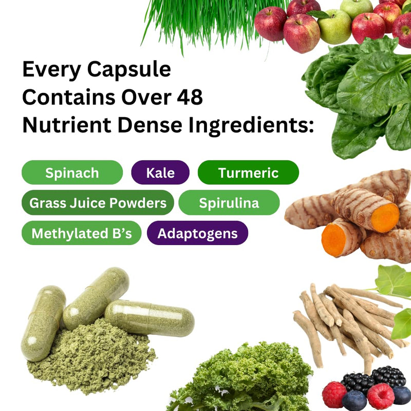 Paradise Herbs & Essentials Once Daily Multivitamin No Iron 60 Count | Features 48 organic superfoods, probiotics, and vitamins A, B12, C, D and K2 in vegetarian capsules for routine use 60 Count (Pack of 1)