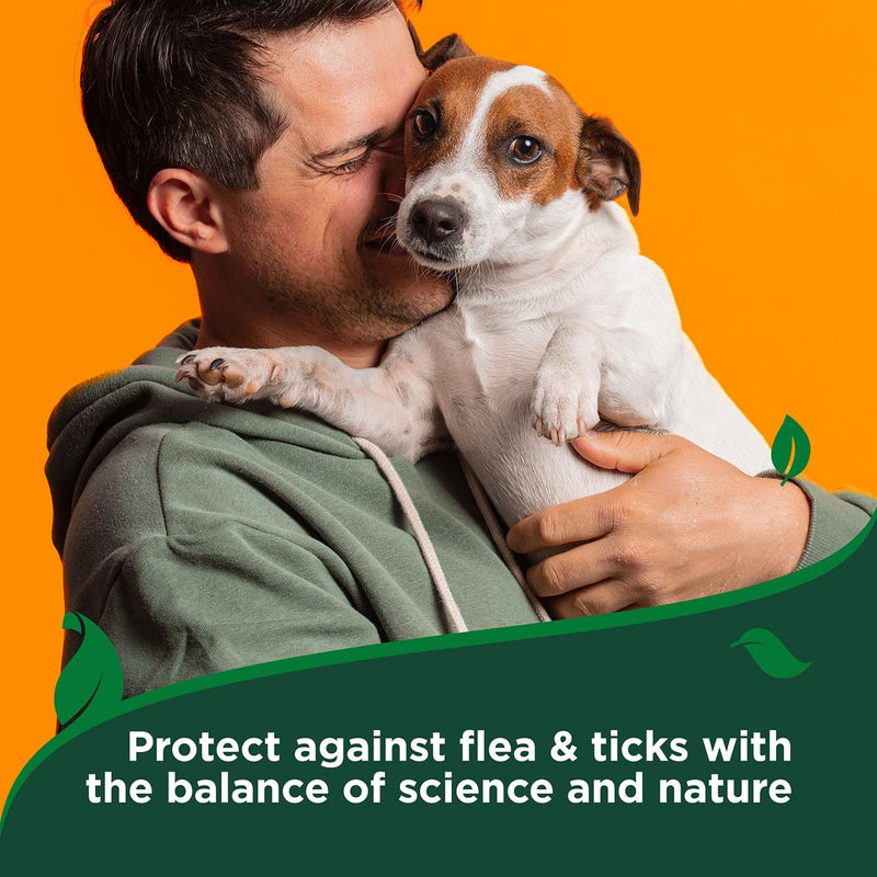 Vet's Best Natural Flea & Tick Dog Shampoo – Plant-Based Formula with Cotton Spice Scent – Natural Dog Shampoo with Essential Oils for Flea and Tick Support – Made in USA – 12 oz Bottle