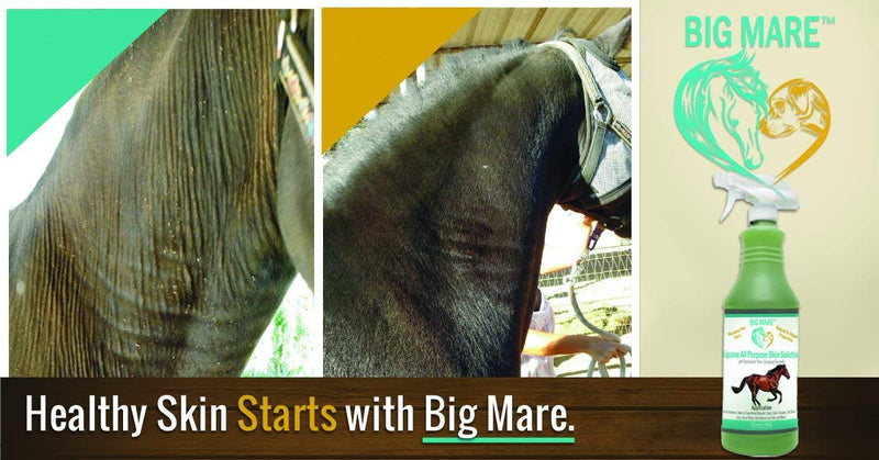 All Purpose Horse Skin & Wound Care | 32oz Bottle | First Aid: for Girth Itch, Insect & Fly Bites, Crud, Itchy Manes & Tails & Hair Loss | Veterinarian Approved & Recommended - BeesActive Australia