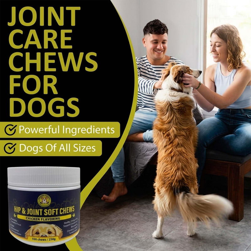 Meadows & Mutts Hip and Joint Supplement for Dogs - Glucosamine Chews for Dogs with Chondroitin, MSM & Green Lipped Mussel - Joint Support & Mobility, Chicken Flavor Soft Chews - 100 Ct