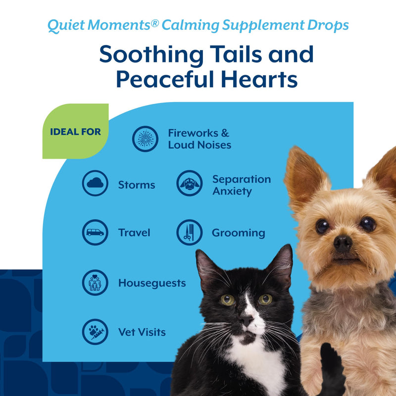 NaturVet Quiet Moments Calming Drops for Cats & Dogs – Helps Reduce Pet Stress, Promotes Relaxation – Dog Supplement, Cat Supplement Includes L-Tryptophan, Ginger, Chamomile – 2 Oz.