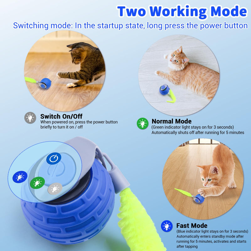 JAKPAK Cat Dog Toys Interactive Dog Cat Toy for Indoor Cats and Dogs with Tail Bird Chirping & Fast Move On Carpet Automatic Cat Dog Cat Ball Toy for Bored Indoor Cats 2.0 gen(Blue) Blue - BeesActive Australia