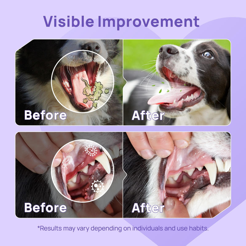 Oral Care Spray for Dogs and Cats, Anti Inflammatory Pet Breath Dental Care Spray, Dog Gingivitis Treatment, Fight Bad Breath Caused by Plaque and Gum Redness, Dog Tooth Brushing Kit, 5.1 Fl Oz - PawsPlanet Australia