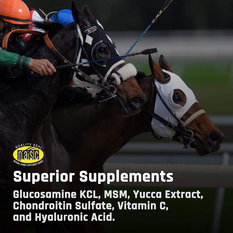 Majesty's Flex HA Wafers - Superior Performance Horse / Equine Joint Support Supplement - HA, Vitamin C, Yucca, Glucosamine - 30 Count (1 Month Supply) - BeesActive Australia