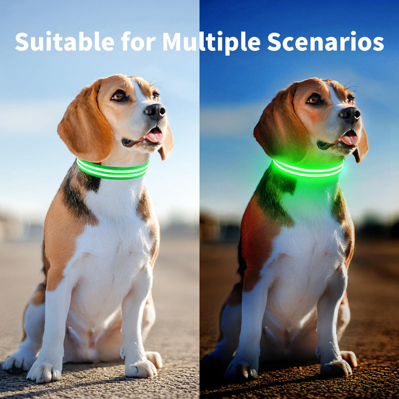 PcEoTllar Rechargeable Dog Light Collar, Luminous Dog Collar, Illuminated LED Collar for Dogs for Small Medium Large Dogs, Dog Light Collar, Waterproof, 3 Light Modes, Green-M M - BeesActive Australia