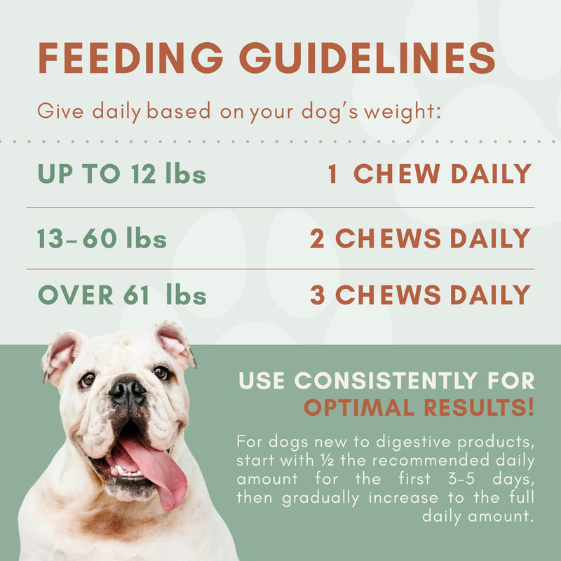 Dog Probiotics with Prebiotics, Digestive Enzymes, Pumpkin Fiber & Colostrum, Daily Gut Health Support for Diarrhea, Gas & Bloating, Six-Strain Probiotic Blend, 60 Beef Flavor Chews