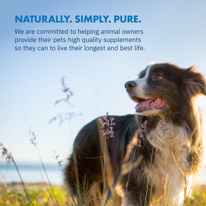 Green Lipped Mussel Powder for Dogs, All-Natural Hip & Joint Support Dietary Supplement Formula for Dogs (120 Servings) - PawsPlanet Australia