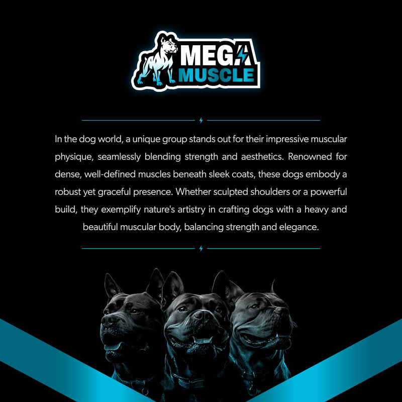 Dog Muscle Growth Powder – Blue Mussel & Bone Broth Topper for Dogs | Muscle, Bone & Joint Support | Protein-Rich Supplement | 3.2 oz