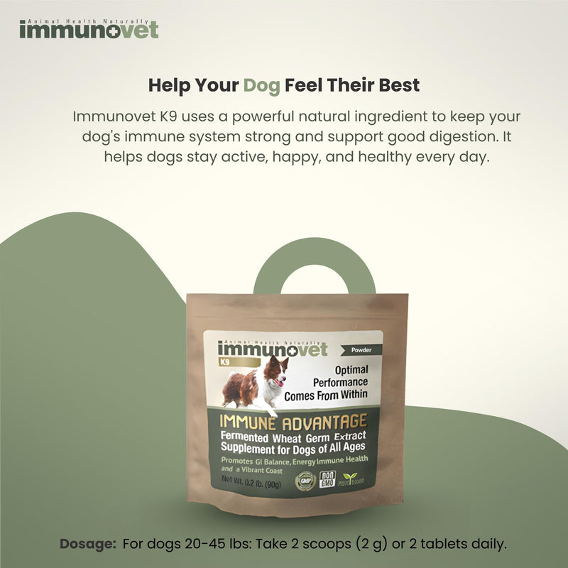 Plant-Based Dog Supplement Powder | Fermented Wheat Germ Extract | Boosts Immunity, Gut Health & Energy | Natural Pet Supplement for All Dog Ages | Non-GMO, Vet Trusted, Safe Formula- 90g Powder 90G