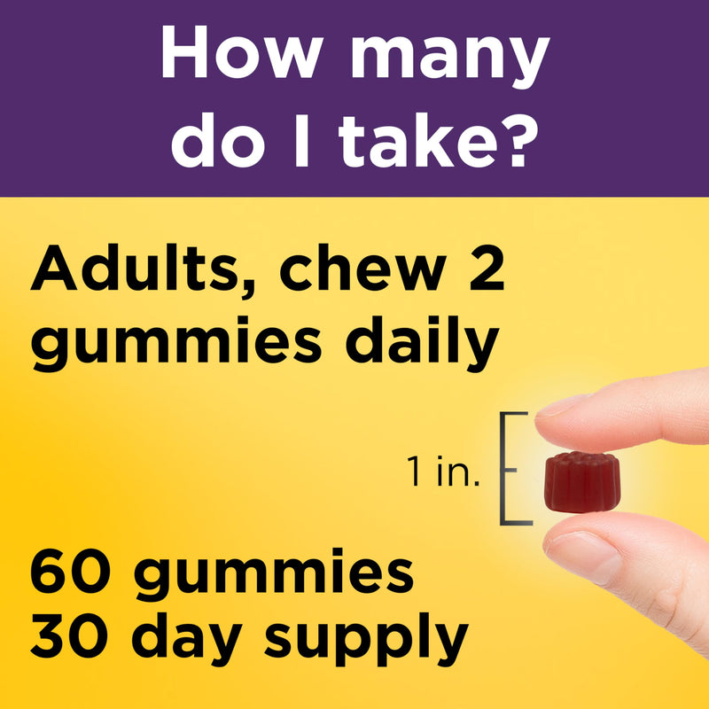 Nature Made Elderberry Gummies with Vitamin C & Zinc, 60 Elderberry Gummies | Dietary Supplement for Antioxidant and Immune Support, Suitable for Vegetarians, Raspberry Flavor, 30 Day Supply 60 Count (Pack of 1)