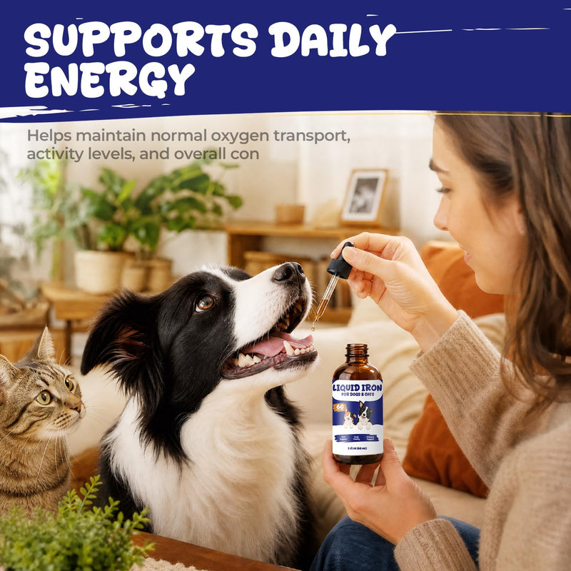 Liquid Iron Supplement for Dogs & Cats, Blood Health & Vitamin B12 Drops | With Vitamin C, Folate, Zinc & Copper to Support Red Blood Cell Formation, Daily Energy & Vitality, 2 fl oz (60 mL)