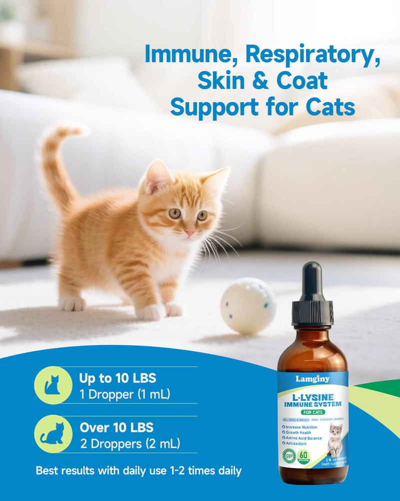 Lysine Supplement for Cat & Hip and Joint Chews for Dogs