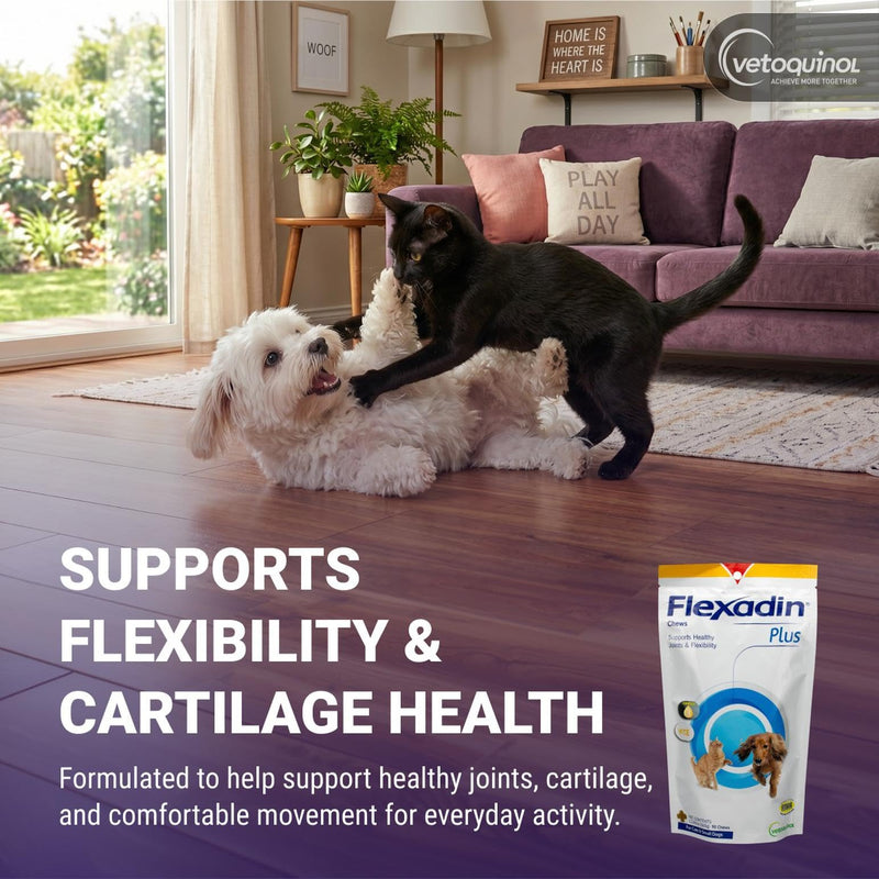 Vetoquinol Flexadin Plus - Hip & Joint Support for Cats & Small Dogs - Flexibility & Cartilage Support - Aids with Pet Mobility - Green-Lipped Mussel & Vitamin E - for Pets Up to 30 lbs - 90 Chews