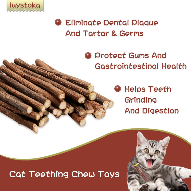 Silvervine for Cats, Cat Chew Stick, Catnip Toys Matatabi Wooden Sticks (25pcs) 25pcs - BeesActive Australia