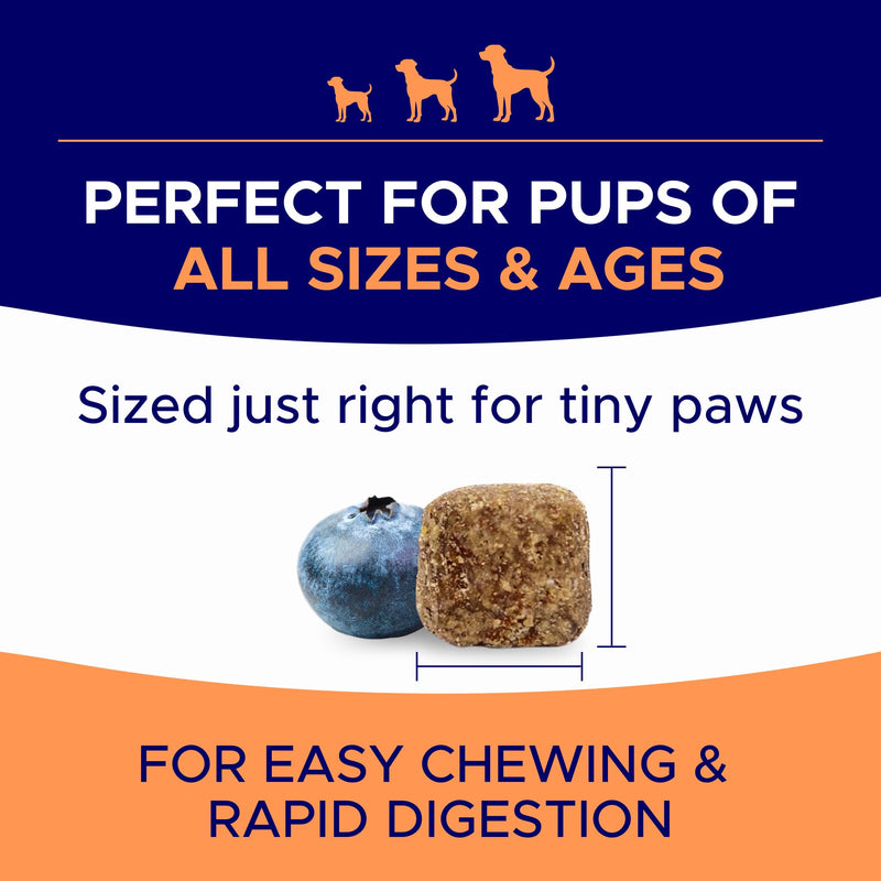 Omega 3 Chews + Allergy Relief Dogs Bundle – Dual Skin & Coat Support – EPA&DHA for Itchy Skin, Hot Spots, Paw Licking, Joint & Heart Health – 360 Ct – Made in USA