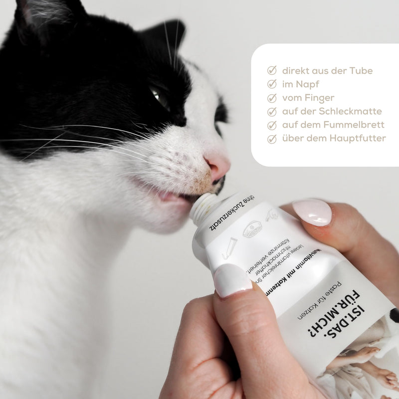 GimCat X Minty&Marla Multi-Vitamin Paste with Catnip - Delicious vitamin-rich snack refined with tasty catnip - 1 tube (1 x 100 g) - BeesActive Australia