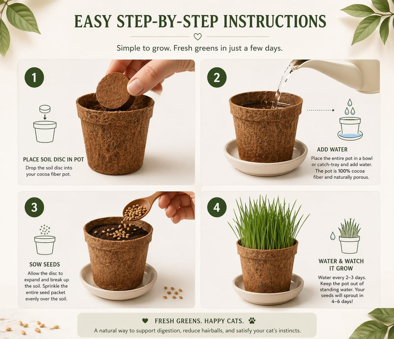 Cat Grass Kit for Indoor Cats - Organic Cat Grass Growing Kit (3 Pack) with Soil Discs, Coco Fiber Pots & Organic Seeds - Natural Hairball Control & Digestion Remedy
