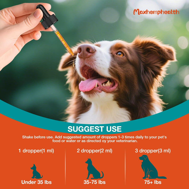 Yeast Infection Treatment for Dogs - Natural Yeast Relief for Dogs - Anti-Yeast Drops for Itchy Ears, Paws & Skin Allergy Relief, Herbal Supplement for Dog, 2 FL OZ Bacon Flavor