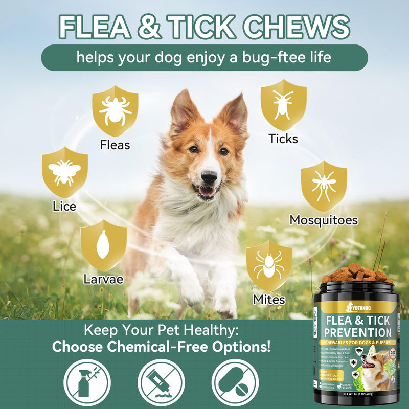 YOTANGO Natural Flea & Tick Support Chews for Cats & Dogs, 2-Pack Bundle for Natural Flea Prevention & Skin Health, 400 Chews Total, Safe & Effective, Plant-Based Formula for All Breeds