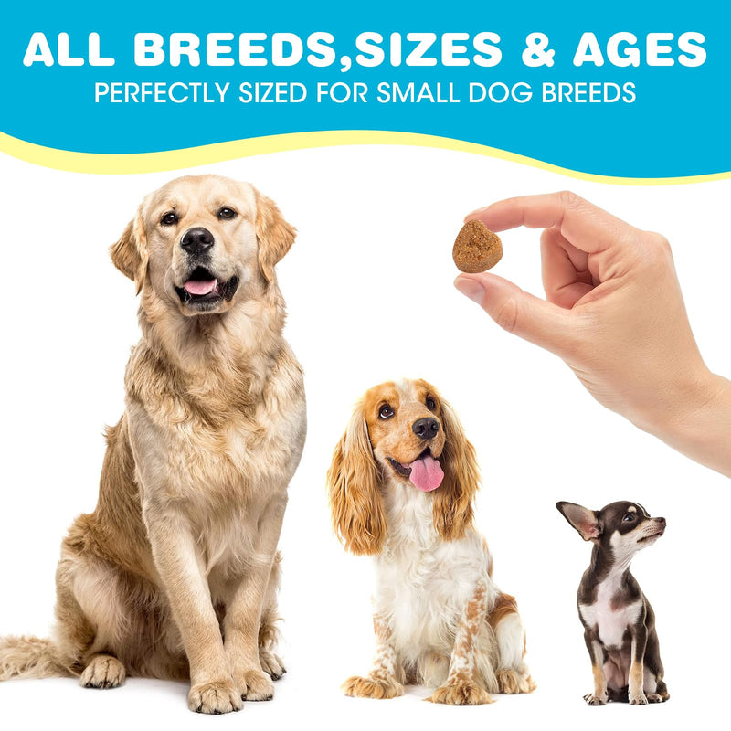 Probiotics for Dogs, Dog Probiotics for Diarrhea & Bowel Support, Digestive Enzymes Promotes Gut Health, Immunity Health & Itch Relief, Prebiotics and Probiotics - BeesActive Australia