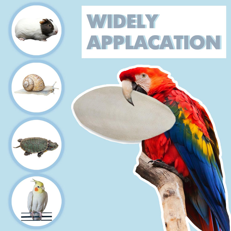 Jmxu's 3.5"-4" Cuttlebone for Birds Parakeets, Cuddle Bone with Metal Holder, Cuttlefish Bone for Sharp Beaks, Natural Birds Calcium for Parrots Cockatiels Tortoises, 4 Pcs 4 Pcs (3.5"-4") - BeesActive Australia